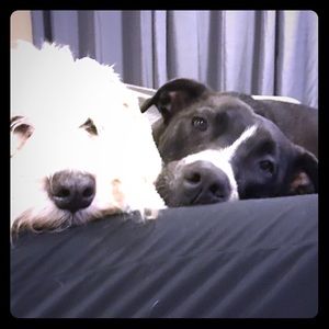 Meet your Posher, MO